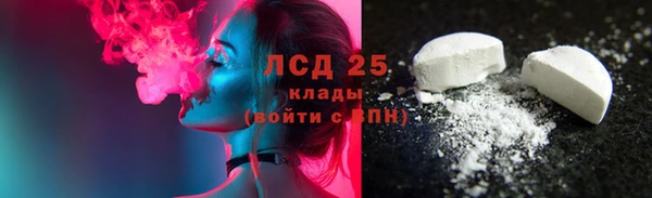 стаф Алзамай