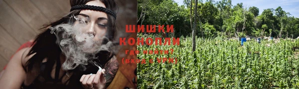 тгк Пересвет