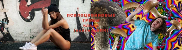 2c-b Алексеевка