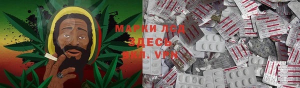 стаф Алзамай