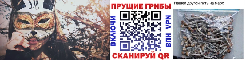 Псилоцибиновые грибы мухоморы Лебедянь